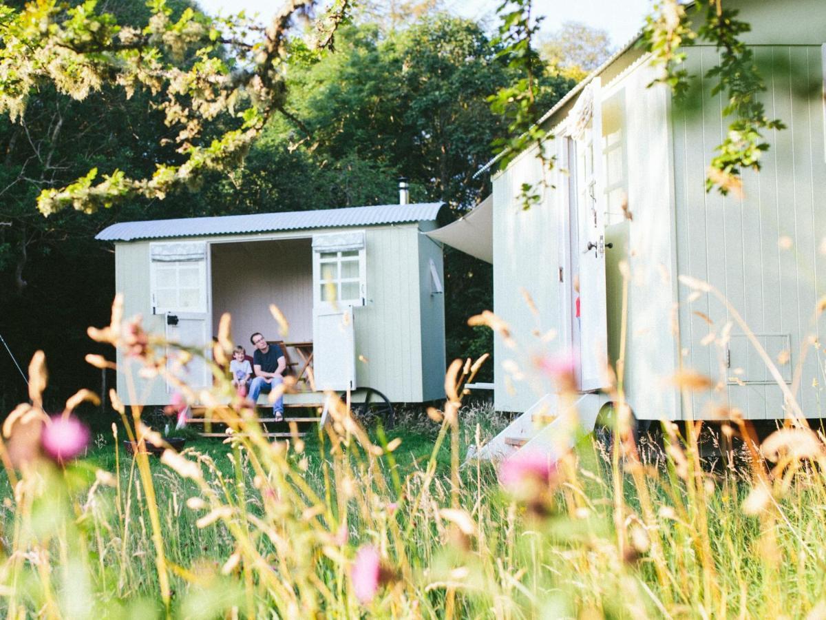 Snowdonia Shepherds' Huts Conwy Extérieur photo