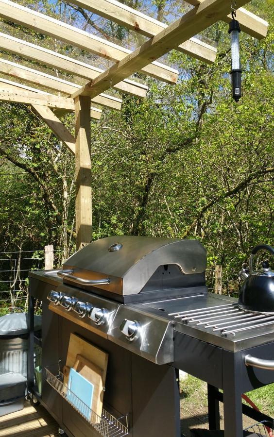 Snowdonia Shepherds' Huts Conwy Extérieur photo