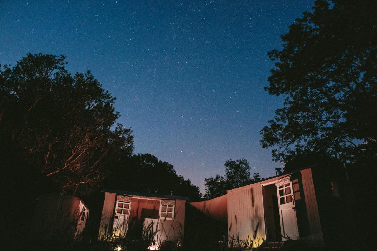 Snowdonia Shepherds' Huts Conwy Extérieur photo