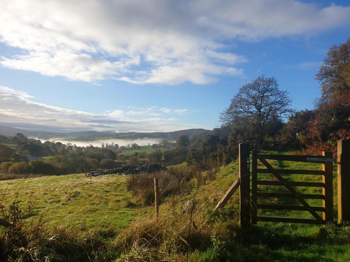Snowdonia Shepherds' Huts Conwy Extérieur photo