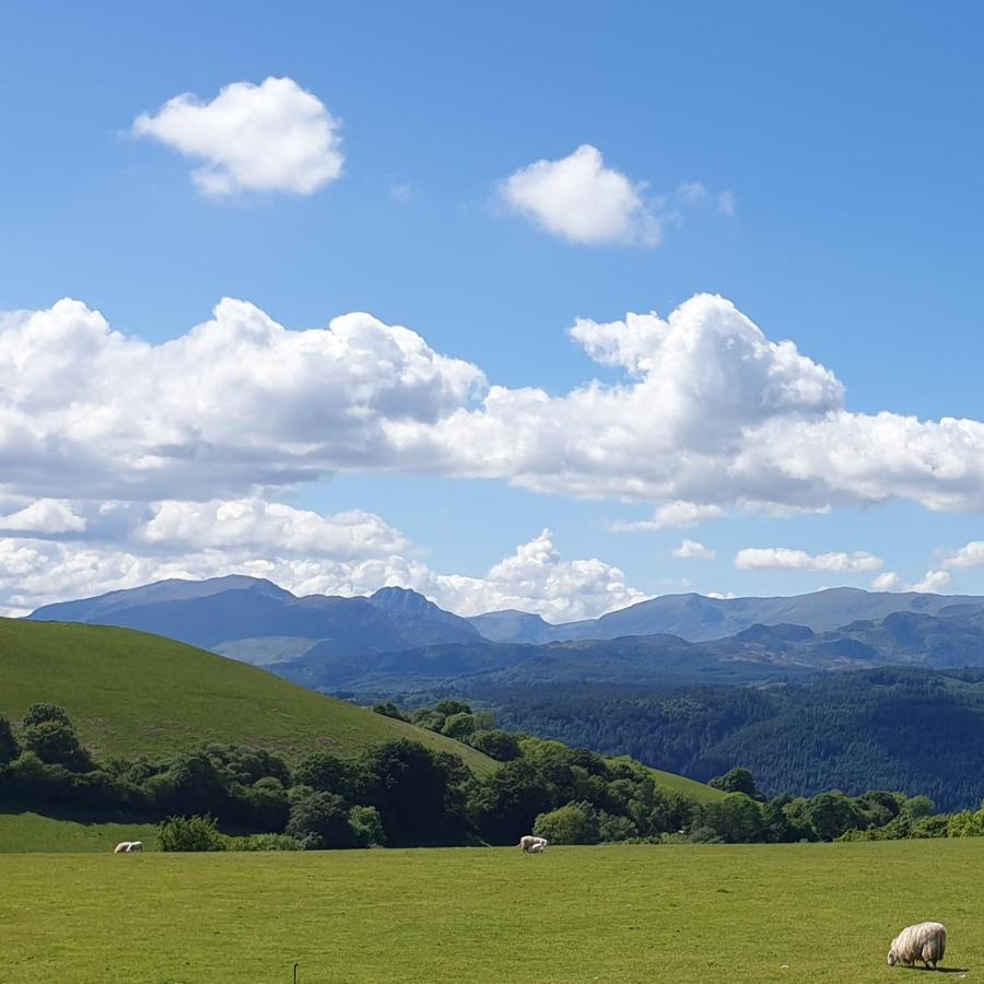 Snowdonia Shepherds' Huts Conwy Extérieur photo